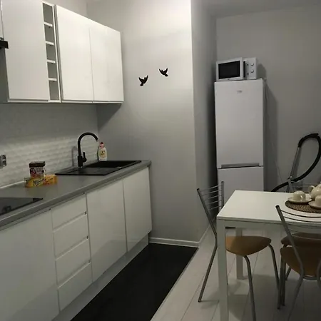Apartment Mieszkanie W Centrum Katowic Katowice